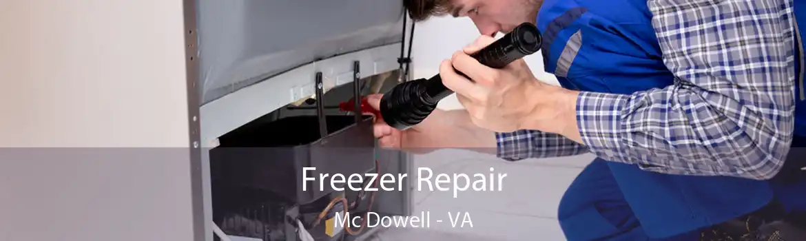 Freezer Repair Mc Dowell - VA