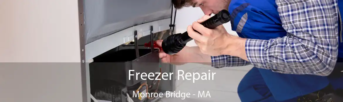 Freezer Repair Monroe Bridge - MA