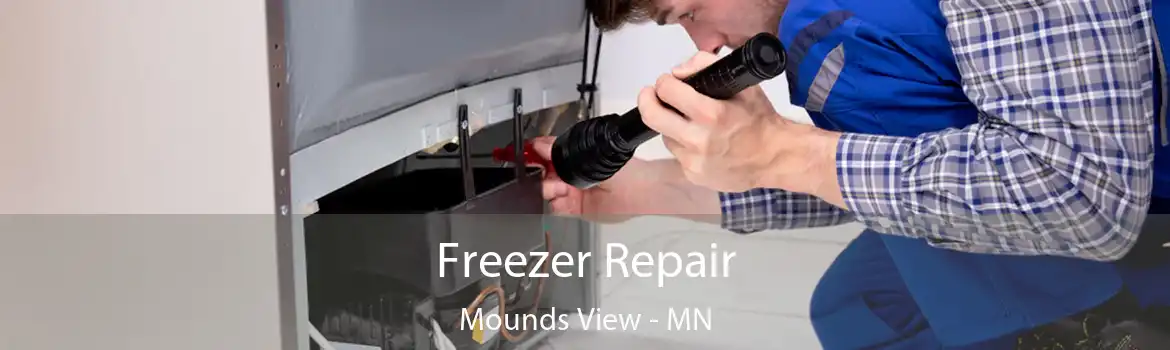 Freezer Repair Mounds View - MN