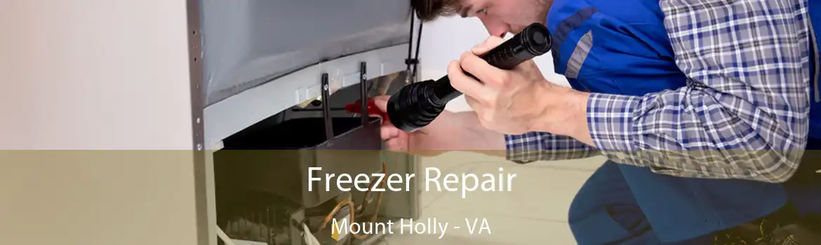 Freezer Repair Mount Holly - VA