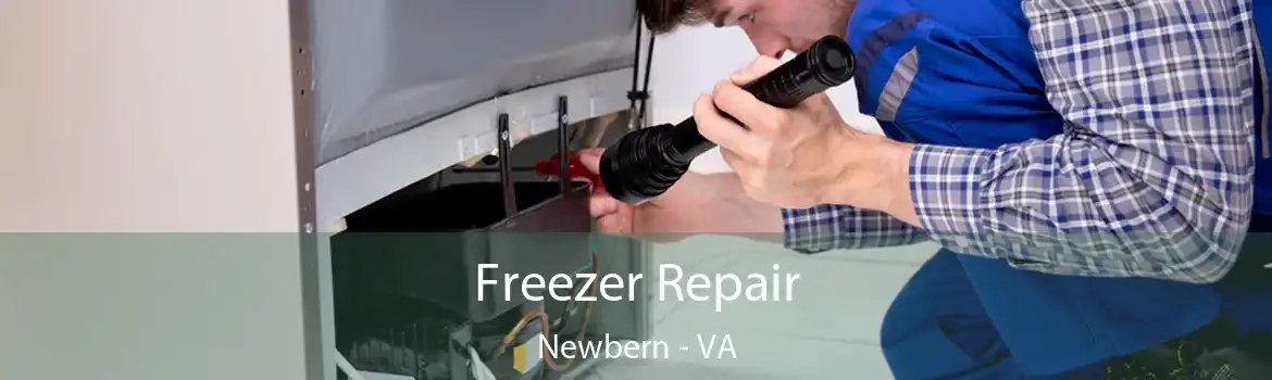 Freezer Repair Newbern - VA