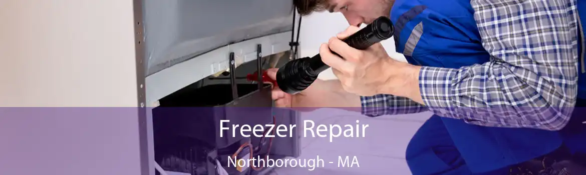 Freezer Repair Northborough - MA