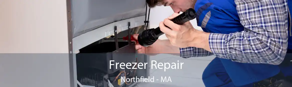 Freezer Repair Northfield - MA