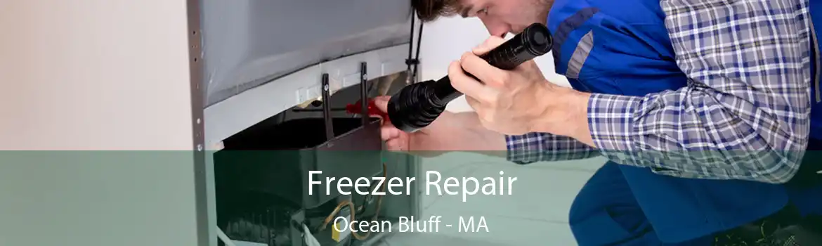 Freezer Repair Ocean Bluff - MA