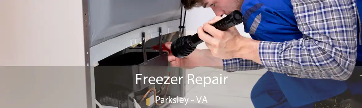 Freezer Repair Parksley - VA