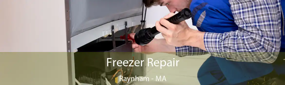 Freezer Repair Raynham - MA