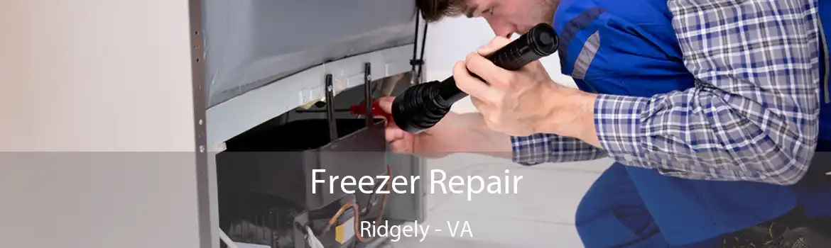 Freezer Repair Ridgely - VA