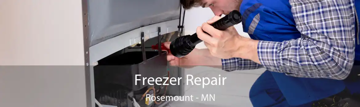 Freezer Repair Rosemount - MN