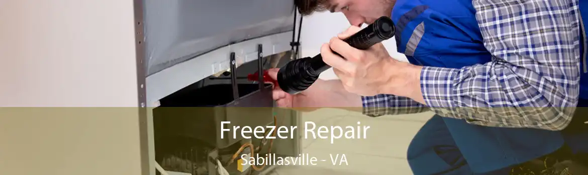 Freezer Repair Sabillasville - VA