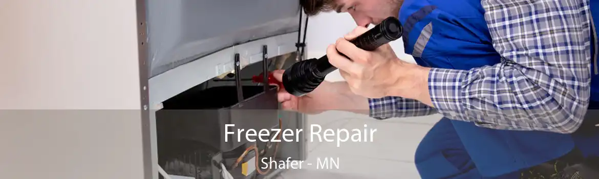 Freezer Repair Shafer - MN