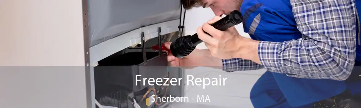 Freezer Repair Sherborn - MA