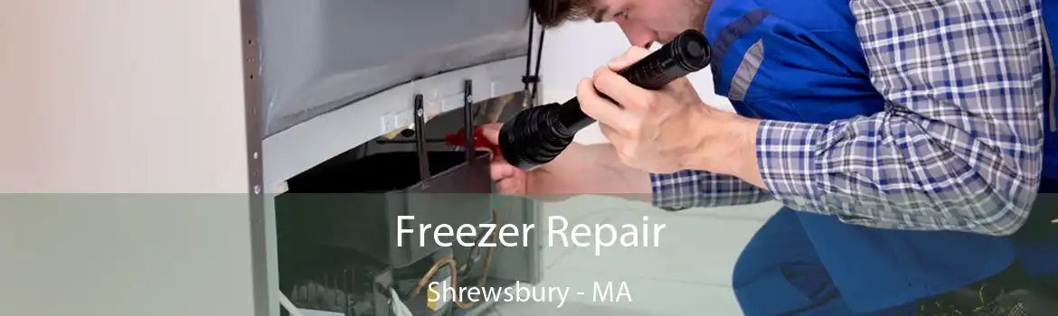 Freezer Repair Shrewsbury - MA