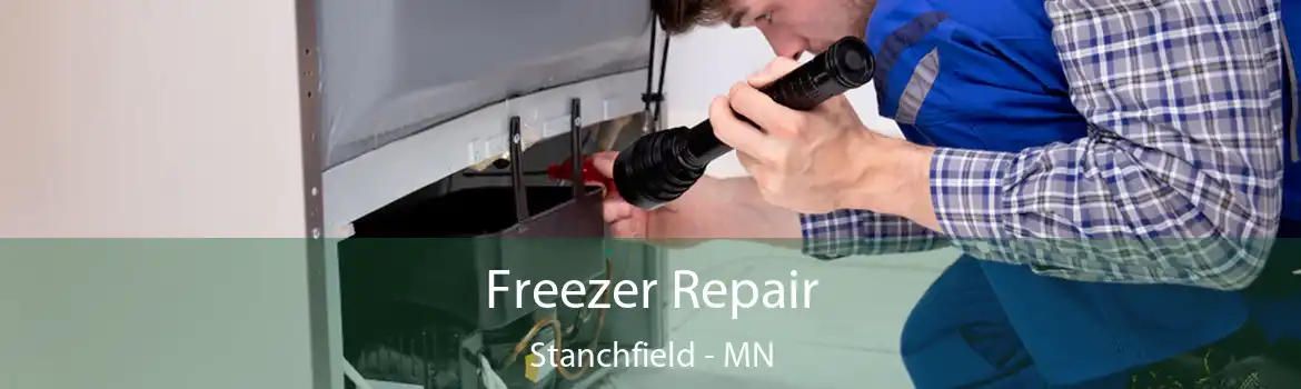 Freezer Repair Stanchfield - MN