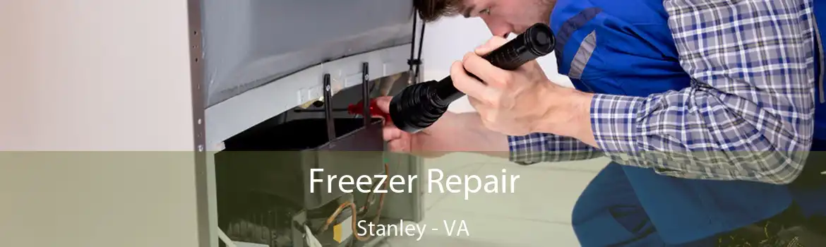 Freezer Repair Stanley - VA