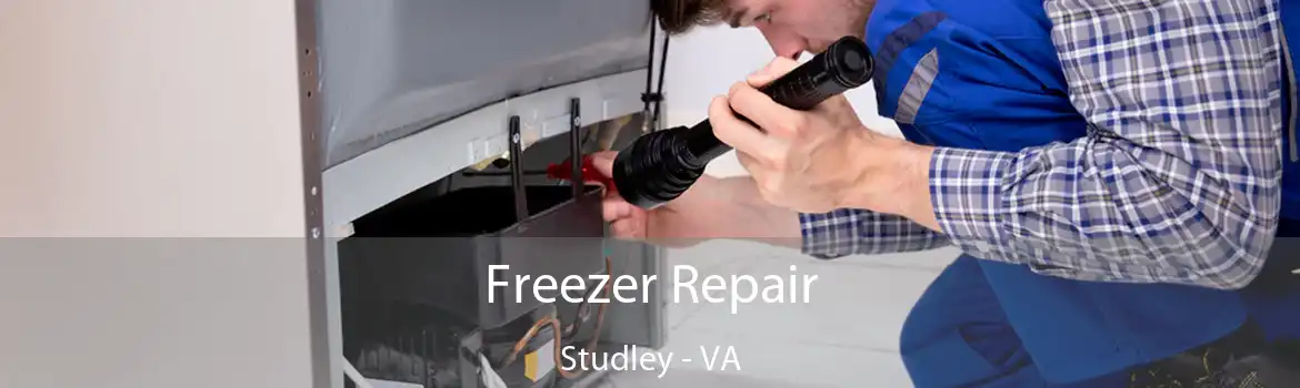 Freezer Repair Studley - VA