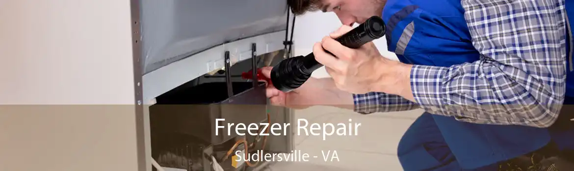 Freezer Repair Sudlersville - VA