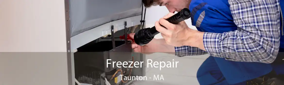 Freezer Repair Taunton - MA