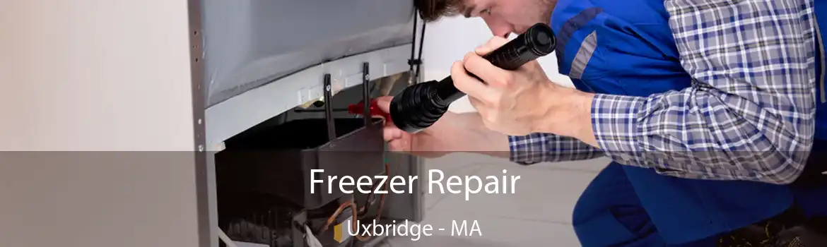 Freezer Repair Uxbridge - MA