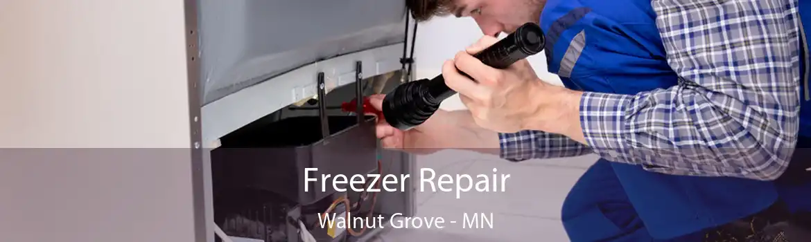 Freezer Repair Walnut Grove - MN