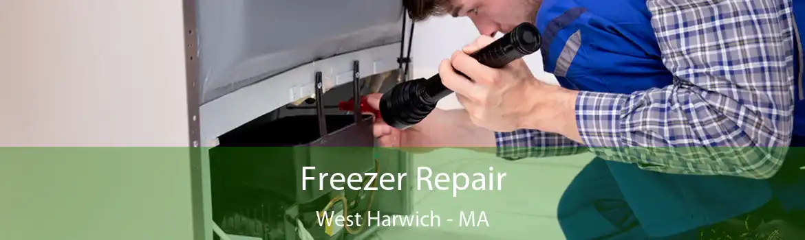 Freezer Repair West Harwich - MA