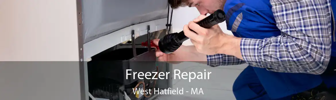 Freezer Repair West Hatfield - MA