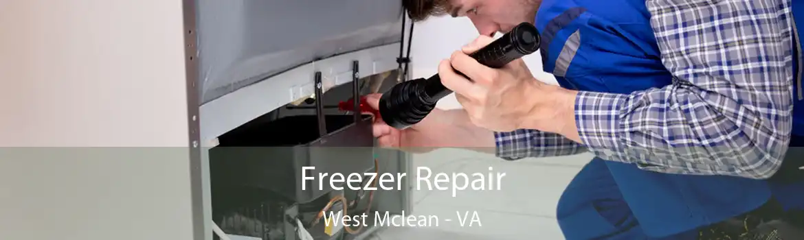 Freezer Repair West Mclean - VA