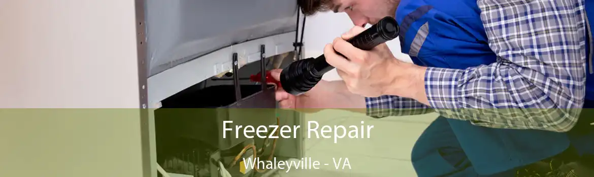 Freezer Repair Whaleyville - VA