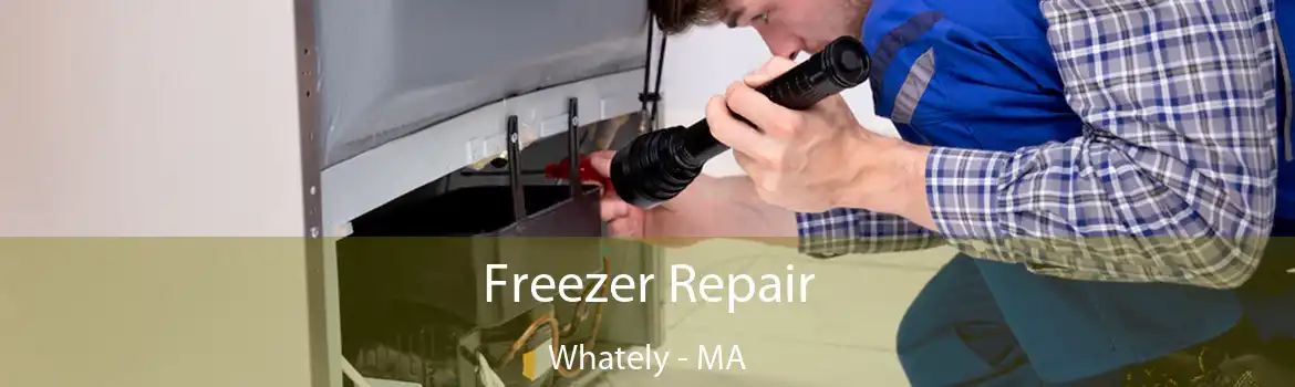 Freezer Repair Whately - MA