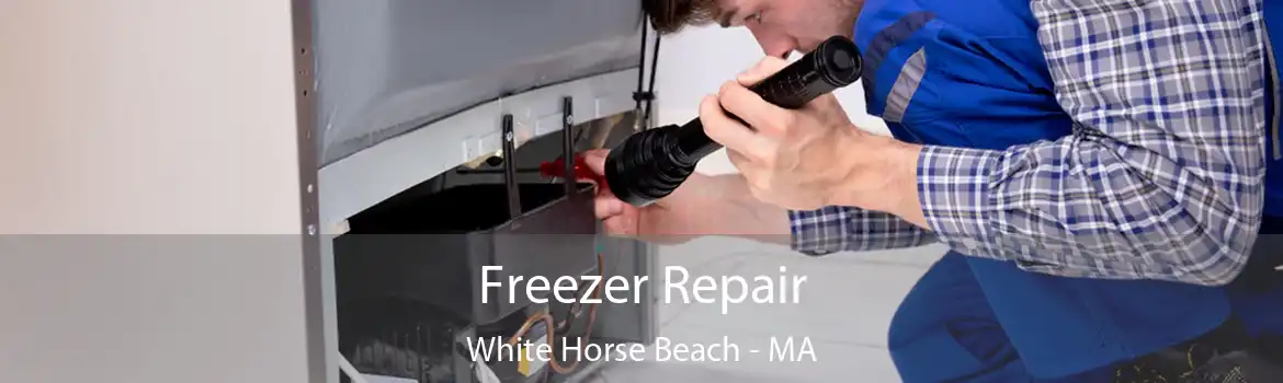 Freezer Repair White Horse Beach - MA