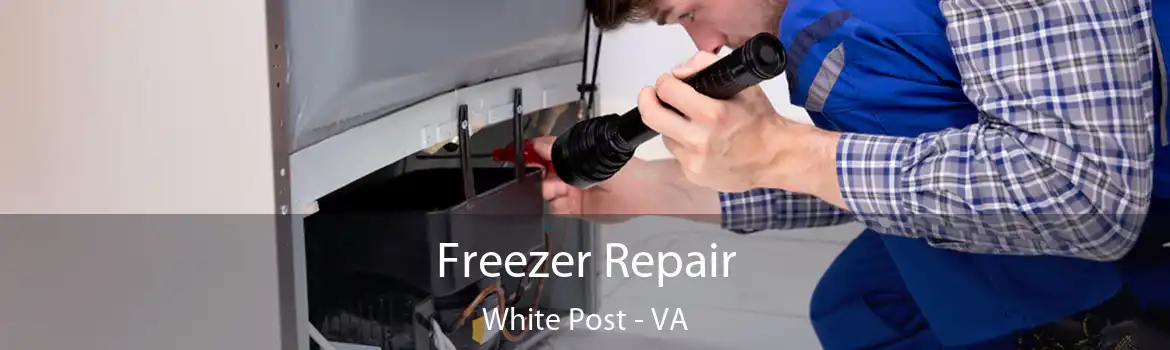 Freezer Repair White Post - VA