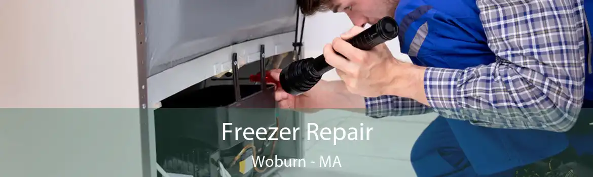 Freezer Repair Woburn - MA