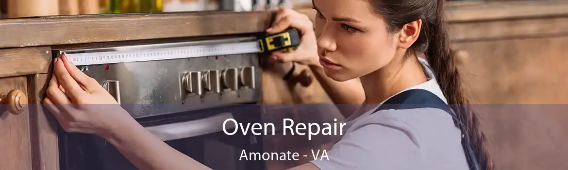 Oven Repair Amonate - VA