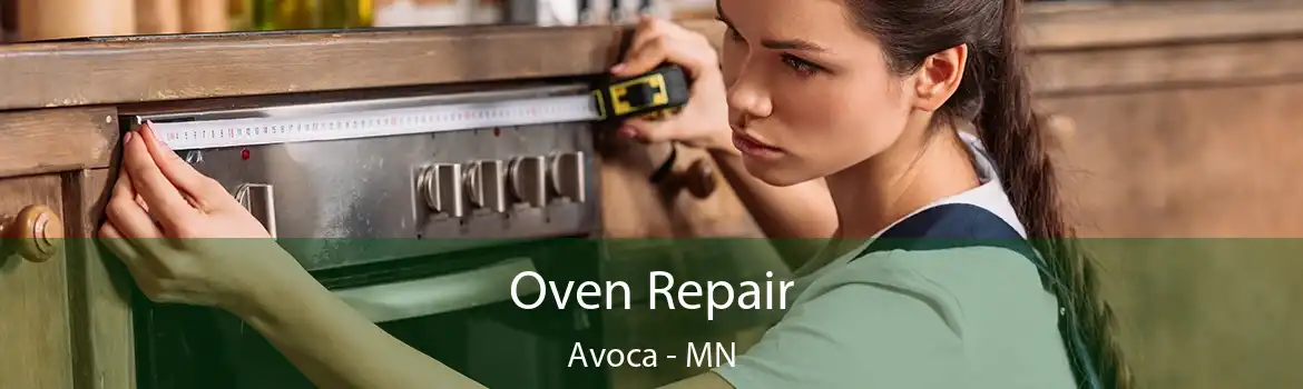 Oven Repair Avoca - MN