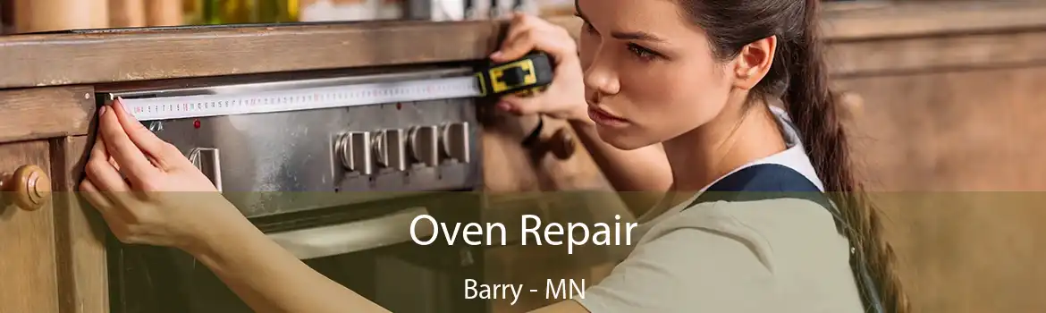 Oven Repair Barry - MN