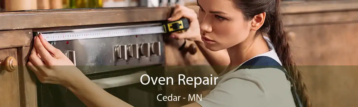 Oven Repair Cedar - MN