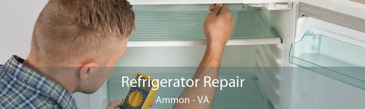 Refrigerator Repair Ammon - VA