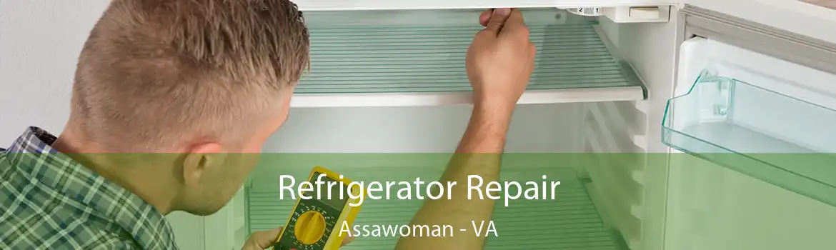 Refrigerator Repair Assawoman - VA