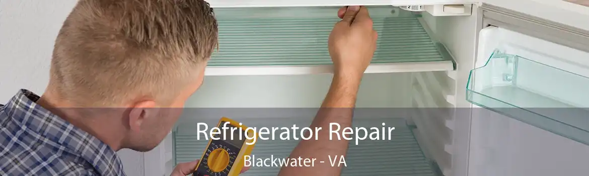 Refrigerator Repair Blackwater - VA