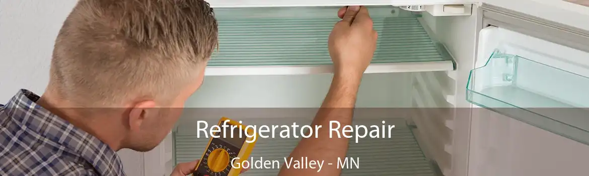 Refrigerator Repair Golden Valley - MN