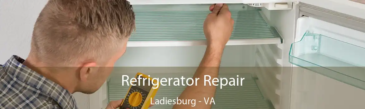 Refrigerator Repair Ladiesburg - VA