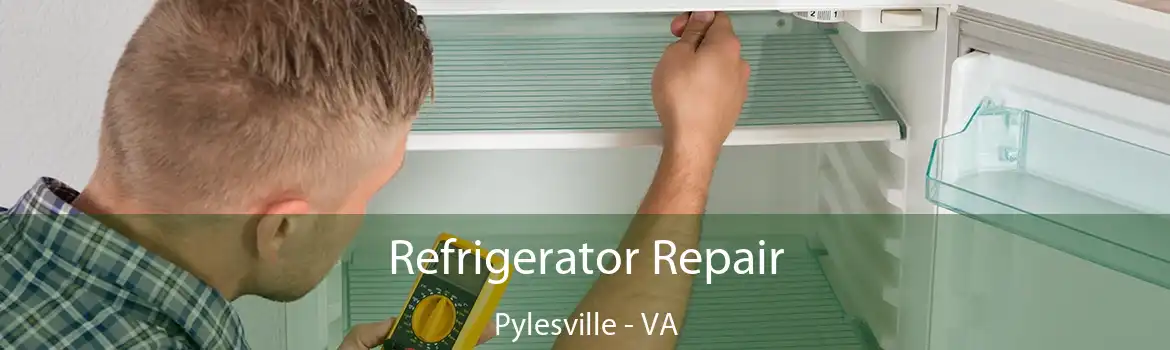 Refrigerator Repair Pylesville - VA