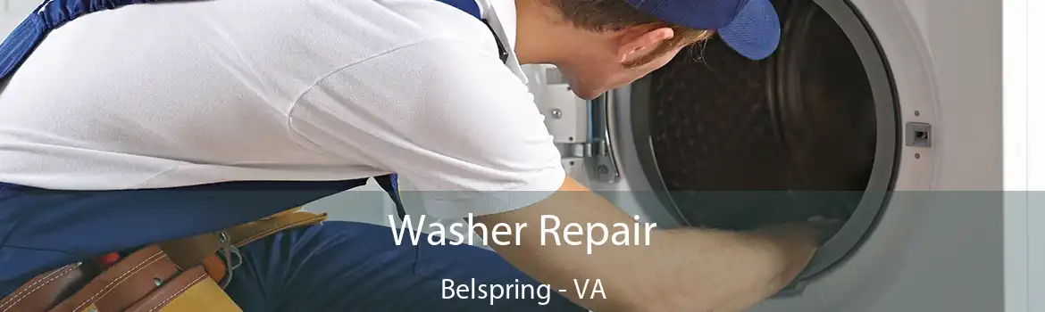 Washer Repair Belspring - VA