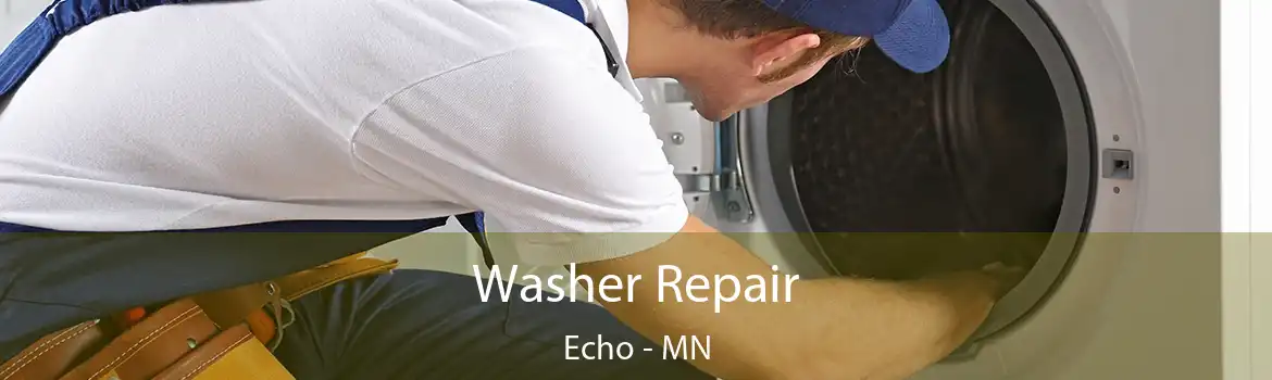 Washer Repair Echo - MN