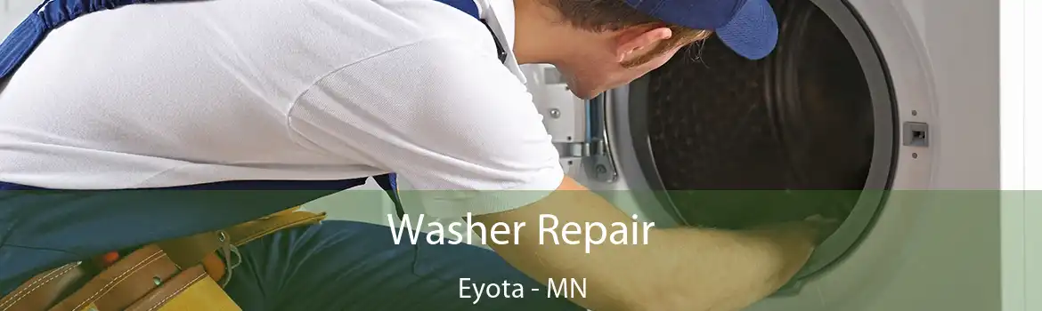 Washer Repair Eyota - MN