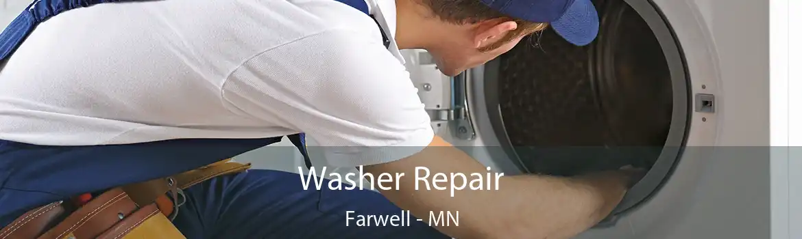 Washer Repair Farwell - MN