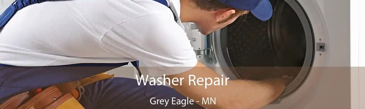 Washer Repair Grey Eagle - MN