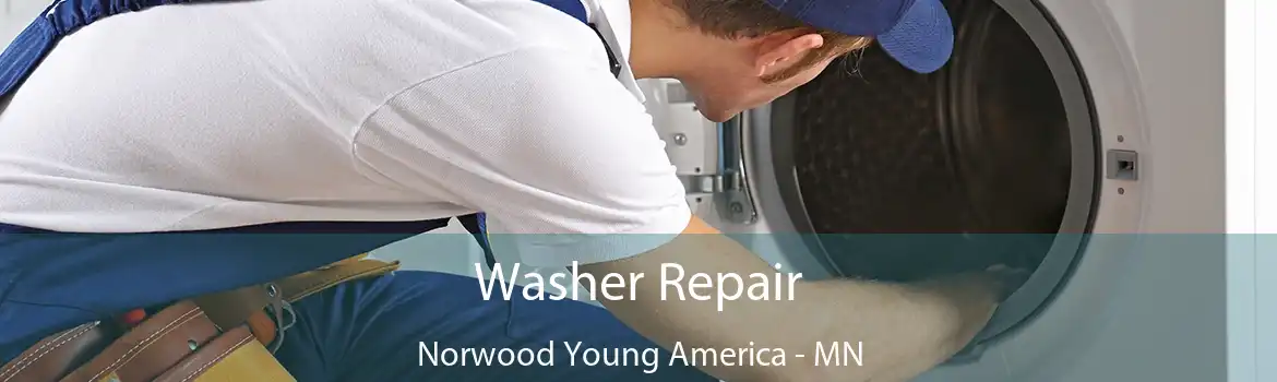 Washer Repair Norwood Young America - MN