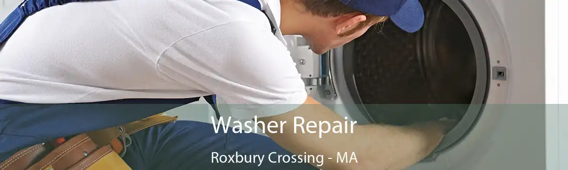 Washer Repair Roxbury Crossing - MA