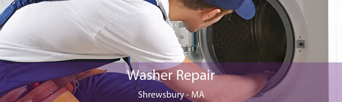 Washer Repair Shrewsbury - MA