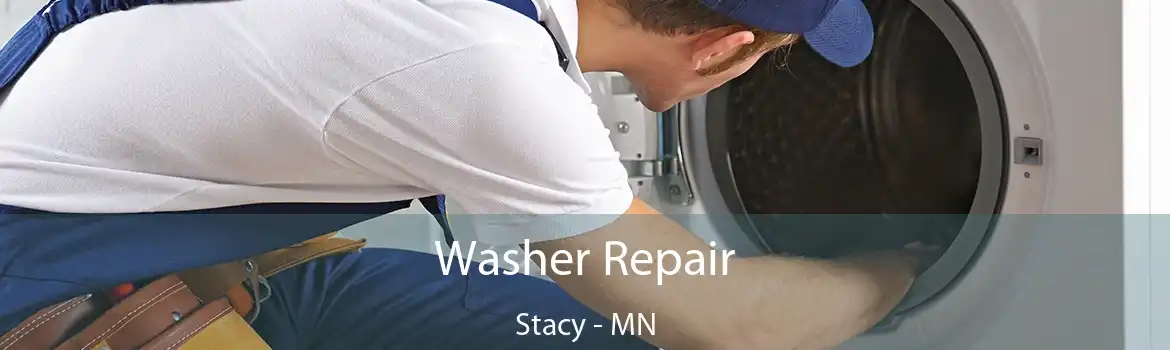 Washer Repair Stacy - MN